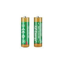 AA/AAA 高功率长寿命 1.5V 碳锌一次性电池 - 适用于玩具、遥控器、键盘/鼠标、手电筒、剃须刀 - 查看 8