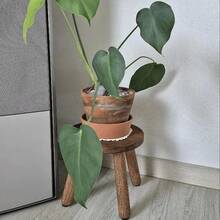 1件装木质中世纪风格植物架，室内植物架，鞋凳，踏脚凳，花盆桌，适用于室内植物，现代风格，高花盆，小型圆形边桌/角桌 - 彩色 - 查看 7