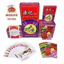 防水耐用扑克牌 经典牌组 经典设计扑克牌 标准扑克牌 高级扑克牌 发牌顺滑 - 彩色 - 查看 5