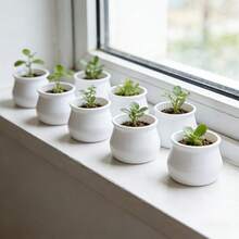 9个迷你花盆多肉植物种植盆白色塑料花盆桌面盆栽盆装饰假植物容器适用于办公桌家居办公室装饰、生日礼物（不含植物） - 多色 - 查看 4