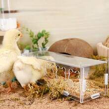1pc Detachable & Easy-To-Clean Multi-Hole Acrylic Poultry Feeder Design, Excluding Feed, Suitable For Poultry And Livestock All-Season Feeding - Feeder - View 7