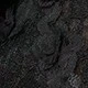 SR黑色玫瑰