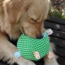 1件宠物玩具铃铛滚动牙齿玩具狗玩具睡觉通风狗玩具 - 彩色 - 查看 8