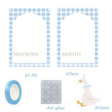 1pc Silly Goose Photo Banner, Silly Goose 1st Birthday Decoration, Suitable For Newborn To 12 Months Photo Banner, Goose 1st Birthday Party Supplies, Monthly Milestone Photo Frame - Style 1 - View 8