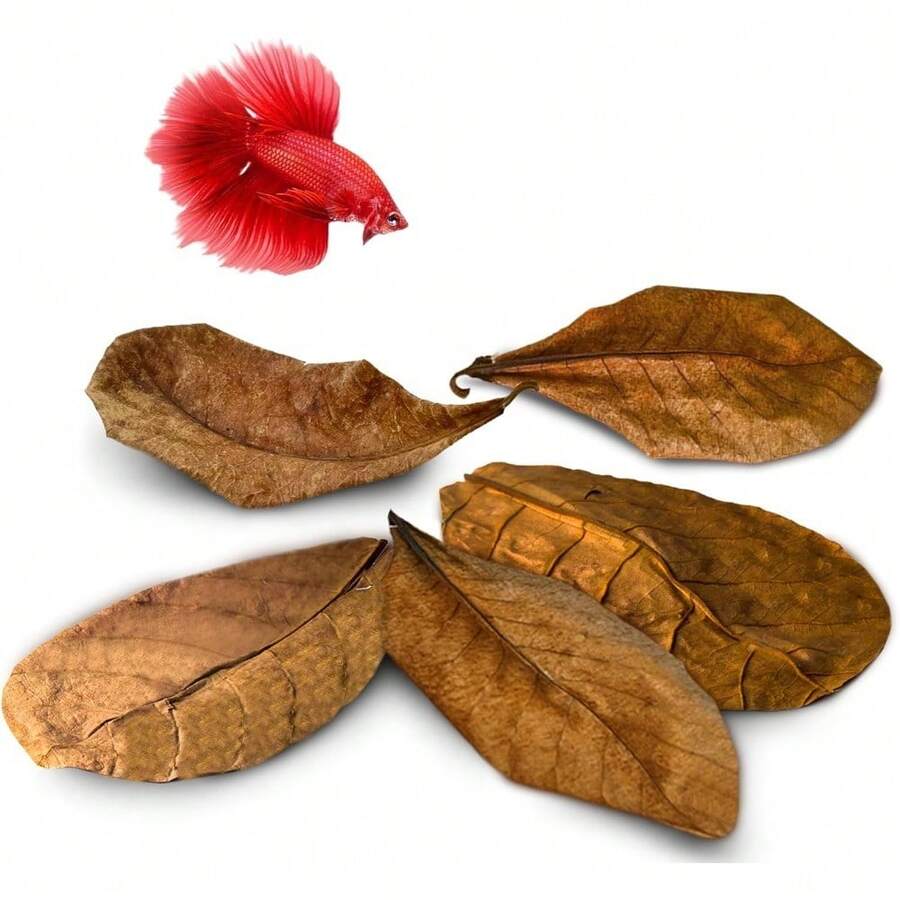 Natural  Almond Catappa Leaves For Betta Fish Aquarium Water Conditioner Tannins PH Balance Fin Health Color Enhancement Stress Relief - 1 - 查看 1