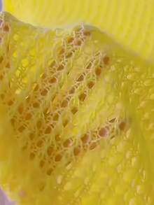 Áo dệt kim dáng rộng, màu trơn, khoét lỗ, thoải mái cho nữ mùa hè - Màu vàng - Xem 3