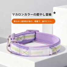 犬用首輪、小型犬用首輪、テディ犬・ビション犬用首輪、ペット用リード、中型犬用首輪、コーギー・柴犬用首輪 - レモンイエロー - チェックする 1