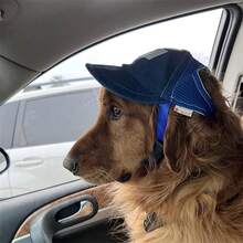 1pc Pet Sun Protection Hat, Dog Cap, Travel Sun Hat, Breathable Outdoor Pet Baseball Cap. Designed For Dogs, This Baseball Cap Has Ear Holes And Adjustable Size, Suitable For Small To Large Dogs For Outdoor Activities. - Multicolor - View 8