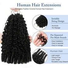 Rambut Rajut Manusia Keriting Burma, Ekstensi Rambut Rajut Manusia Keriting Burma, Dapat Digunakan Kembali, Tidak Terlihat, Tanpa Simpul, Bundel Rambut Rajut Manusia 18 Inci, Hitam Alami - Natural Black - View 2
