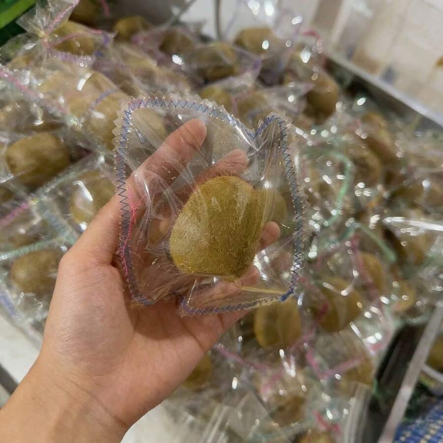 1个奇异果造型挤压玩具，慢回弹减压，水果造型，学生/上班族减压玩具 [随机]