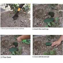 1/3/5/8pcs Plastic Slug & Snail Traps, Square/Round Shape, Comes With 1 Pair Work Gloves, Effective Garden Protection For Succulents And Flowers - Snail Trap - View 8