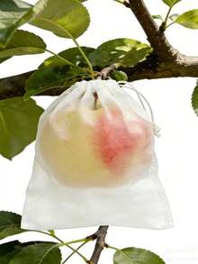 10pcs Insect Cover, Fruit Tree Protector, Shoe Storage Bag, Non-Woven Fabric, Insect And Dustproof, Suitable For Gardens, Landscaping, And Shoe Storage. Essential Gardening Supplies, Perfect For Wedding Season, Graduation Season, And Mother's Day Gifts. - beraneka warna - View 2