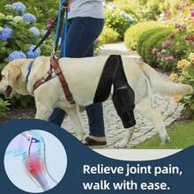 Adjustable Rear Leg Support Dog Knee Brace Canine Leg Injury Rehabilitation Aid For Large Dogs Arthritis Pain Relief Post - Operative Recovery - View 8