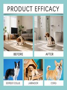 狗狗如厕训练喷雾，每日训练引导狗狗在指定地点排便，定位引导喷雾，狗狗排便诱导剂，宠物防脏乱如厕训练引诱剂，尿垫定位训练 - 60ml - 查看 8