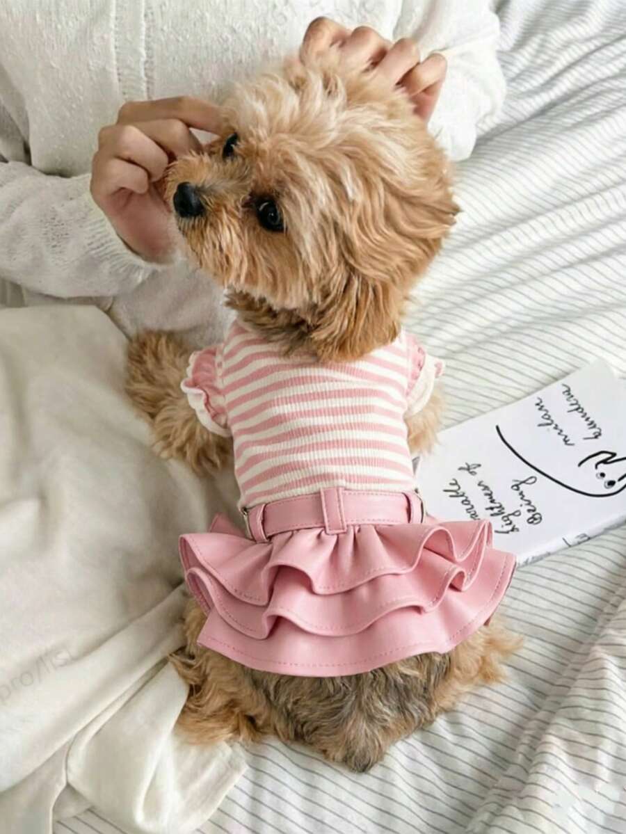 1件宠物衣服，快乐狗狗连衣裙，皮革条纹裙，春冬款式，舒适优质面料，适合猫狗