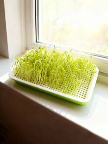 Sprouting Seed Sprouting Kit With Sprouting Tray And Base - Compact Sprouting System For Peas, Beans, Wheat, Pet Grass - Green Sprouting Cultivator With Drainage Holes (Seeds Not Included) - Multicolor - View 9