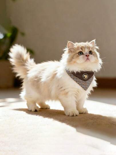 高品质羊毛系列复古英伦风宠物猫狗围兜围巾，适合派对、聚会和装饰。