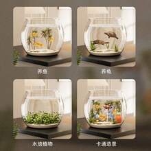 Bể cá nhựa tròn, nguyên khối, chống rơi vỡ, độ trong suốt cao, mô phỏng kính, kích thước nhỏ gọn để bàn - thích hợp cho phòng khách. - Xem 5