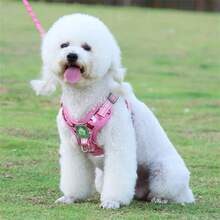 1 pieza Arnés para mascotas sin tirones, chaleco reflectante para perros, arnés para mascotas cómodo, transpirable y ajustable con estampado rosa para paseos al aire libre para perros pequeños y medianos - Rosa - Ver 8