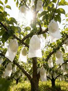 10pcs Insect Cover, Fruit Tree Protector, Shoe Storage Bag, Non-Woven Fabric, Insect And Dustproof, Suitable For Gardens, Landscaping, And Shoe Storage. Essential Gardening Supplies, Perfect For Wedding Season, Graduation Season, And Mother's Day Gifts. - beraneka warna - View 6
