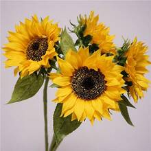 1/2/5 Stück Riesige künstliche Sonnenblumen - Realistische Fake Blumen mit 15 cm großen Blütenköpfen, lange Stiele für Hochzeit, Erntedankfest, Heimdekoration - Plastik Hängedekoration für Innen/Außen, Hängende künstliche Blumen, Veranstaltungsdekoration - 70 cm - Übersicht 1