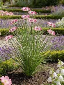 1/6/10 Maços de Grama Artificial de Cebolinha e Flores de Cosmos, Buquê de Girassol Rosa, Arbusto de Planta Verde Artificial para Exterior Resistente a Raios UV, Vegetação Artificial Simulada para o Solo, Adequado para Quintal, Jardim, Sala de Estar, Decoração de Hotel, Moldura de Janela, Casamento, Aniversário - multicolorido - Ver 8