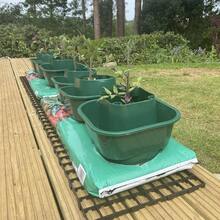 Tomato And Vegetable Growbag Pots Improved Watering - Pack Of 6 - Green - View 1