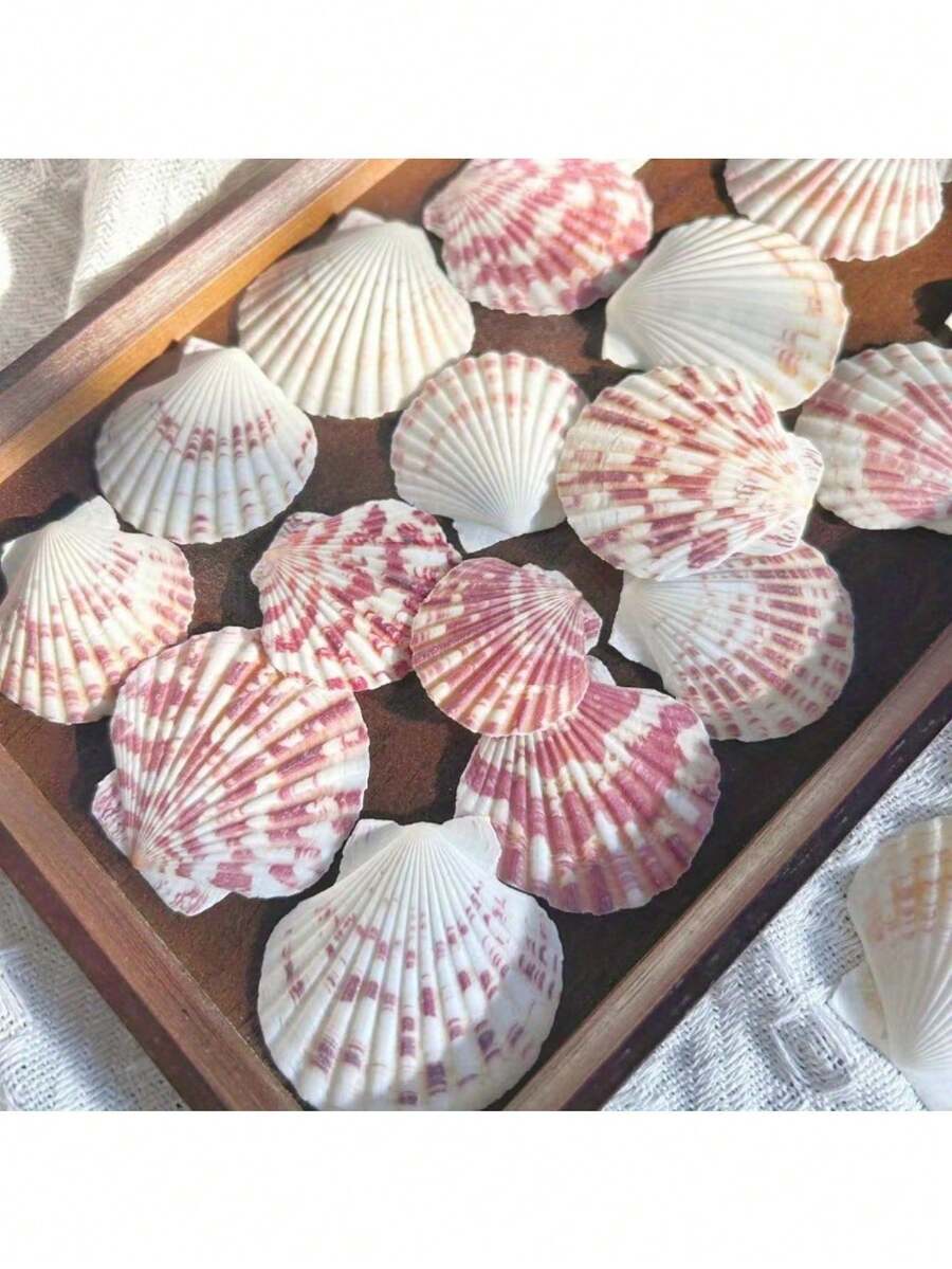 20件套粉色贝壳工艺品套装 - 可用于制作珠宝项链、海洋主题家居装饰、鱼缸造景、风铃和可爱的手工礼品(尺寸随机混搭) - 歡樂水族 - 查看 1