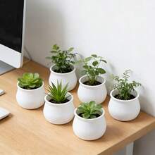 9个迷你花盆多肉植物种植盆白色塑料花盆桌面盆栽盆装饰假植物容器适用于办公桌家居办公室装饰、生日礼物（不含植物） - 多色 - 查看 3