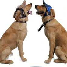 1pc Pet Sun Protection Hat, Dog Cap, Travel Sun Hat, Breathable Outdoor Pet Baseball Cap. Designed For Dogs, This Baseball Cap Has Ear Holes And Adjustable Size, Suitable For Small To Large Dogs For Outdoor Activities. - Multicolor - View 9