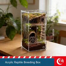 TX 1pc High Transparent Acrylic Jumping Spider Habitat, Reptile Terrarium For Breeding Small Reptiles Or Invertebrates, With Magnetic Top And Front Opening Design, Breathable And Escape-Proof - Multicolor - View 5