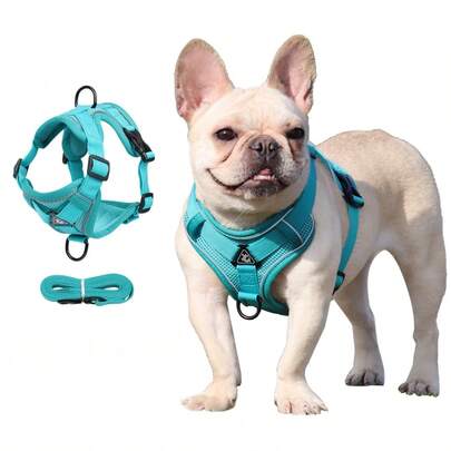 Juego de correa reflectante para mascotas de 1,5 m, adecuado para perros y gatos, correa ajustable a prueba de escape para perros pequeños con malla suave