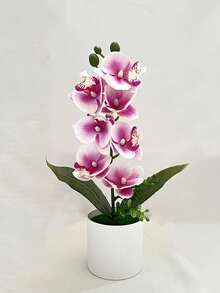 1/2pcs Magenta & White Artificial Phalaenopsis Orchid Potted Plant, Elegant Silk Bonsai With White Pot, Realistic Faux Orchid For Home, Office, Kitchen Decor, Perfect For Wedding, Valentine's Day & All Seasons - Red Violet - View 3