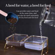 1个宠物猫双层碗，带颈部保护，易于清洁，可用于饮水、喂食猫狗。 - 2公升 - 查看 3