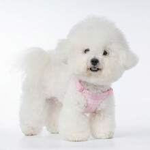 Pet Harness Leash Set - Pink Plaid With Daisies, Adjustable Buckles, Comfortable For Easy On/Off Buckle For Teacup Dogs, Maltese, Chihuahua - Pink - View 2