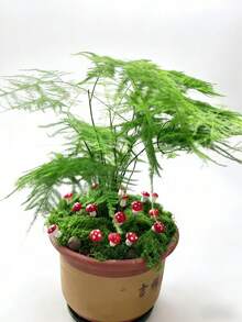 30个红色迷你蘑菇装饰品，可用于打造仙境花园景观，DIY手工材料，适用于家居、办公室、户外、生日派对、蛋糕装饰等场合。 - 紅色 - 查看 4