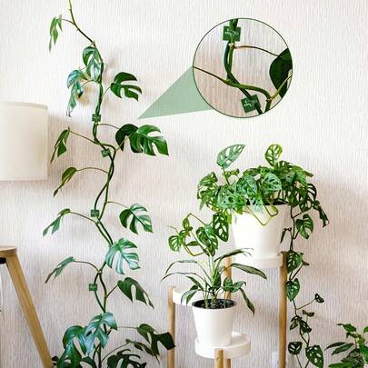 Bộ 20/40 kẹp leo cây, móc treo tự dính, giá đỡ vô hình cho dây leo, kẹp tường vườn, kẹp cố định dây leo, móc treo tự dính, trang trí trong nhà và ngoài trời.