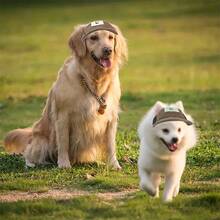 1pc Pet Sun Protection Hat, Dog Cap, Travel Sun Hat, Breathable Outdoor Pet Baseball Cap. Designed For Dogs, This Baseball Cap Has Ear Holes And Adjustable Size, Suitable For Small To Large Dogs For Outdoor Activities. - Multicolor - View 3