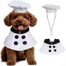 2pcs/Set Pet Chef Costume, Pet Chef Uniform, Chef Hat Set, Pet Clothing For Hotel Lobby Role Play - White - View 7