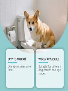 狗狗如厕训练喷雾，每日训练引导狗狗在指定地点排便，定位引导喷雾，狗狗排便诱导剂，宠物防脏乱如厕训练引诱剂，尿垫定位训练 - 60ml - 查看 6