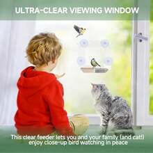 Window Bird Feeder With 4 Extra Powerful Suction Cups, Large Clear Bird Feeders For Outside With Double Seed Tray, Bird Watching For Cats, Easy To Install And Wash For Viewing & Garden Decor - / - View 6