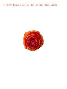 12/24pcs Artificial Peony Flowers With Stems, Suitable For Wedding Party Decor, Cake Decor, Home Living Room Dining Table Decor, Fake Plants, Autumn Decor, Room Decor, Tabletop Decor, Garden Decor, Etc. - Burnt Orange - View 7
