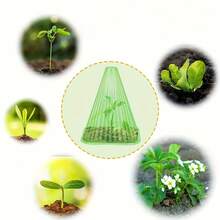 Bộ 150 món bọc bảo vệ cây trồng, bao gồm 50 tấm bọc cây con trong suốt, 100 cọc cắm đất, nhà kính mini dày dặn có thể tái sử dụng, thích hợp cho vườn ươm, chống chim và chống sương giá. - A - Xem 7