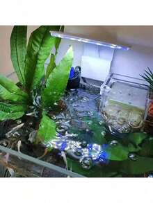 1个鱼缸灯，水族箱灯 - USB供电，10级亮度调节和3种照明模式 - 适用于淡水/海水鱼缸、水族箱照明、水生植物和水下景观，适合水族爱好者 - 白色 - 查看 8