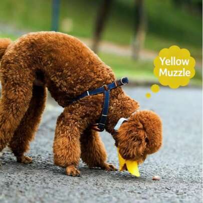 可调节硅胶狗嘴套，适合小型和中型犬，户外散步训练防咬防吠