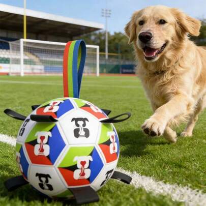 Đồ chơi hình cầu cho thú cưng có dây đeo, bóng đá cho chó kèm bơm hơi, đồ chơi bóng đá tương tác trong nhà/ngoài trời cho chó có dây kéo, phù hợp cho chó giống nhỏ, trung bình và lớn.