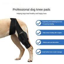 Adjustable Rear Leg Support Dog Knee Brace Canine Leg Injury Rehabilitation Aid For Large Dogs Arthritis Pain Relief Post - Operative Recovery - View 6