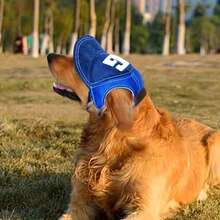 1pc Pet Sun Protection Hat, Dog Cap, Travel Sun Hat, Breathable Outdoor Pet Baseball Cap. Designed For Dogs, This Baseball Cap Has Ear Holes And Adjustable Size, Suitable For Small To Large Dogs For Outdoor Activities. - Multicolor - View 6