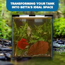 Natural  Almond Catappa Leaves For Betta Fish Aquarium Water Conditioner Tannins PH Balance Fin Health Color Enhancement Stress Relief - 1 - 查看 4
