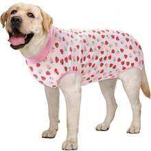 1件装狗狗术后恢复服，母犬绝育术后护理服，狗狗腹部伤口恢复服，宠物防舔舐保护服，可爱时尚拉链款 - 粉色 - 查看 11